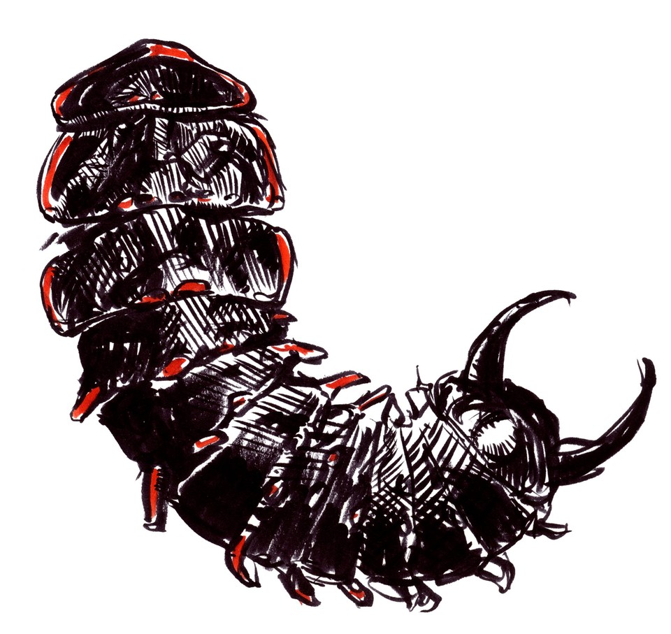 313-2000