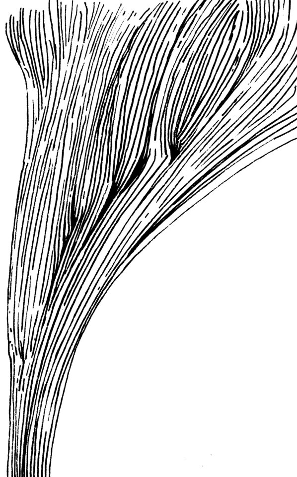 615