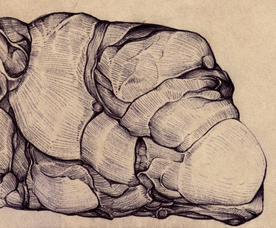647